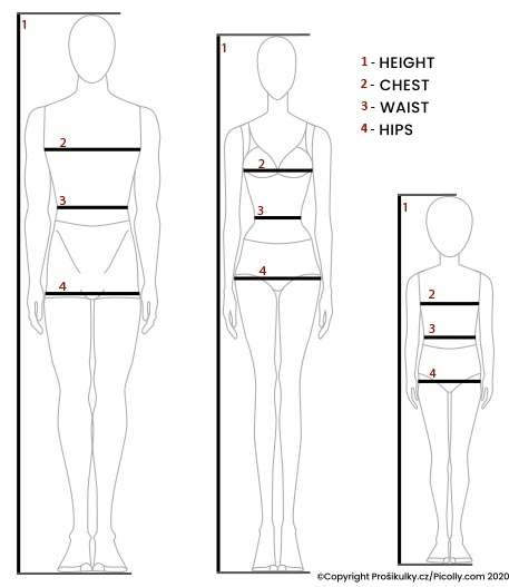Women's clothing size chart. Body measurements. Bust, waist, hips